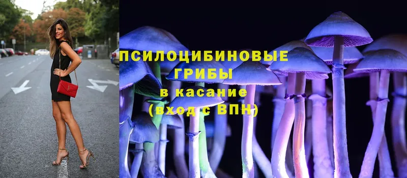 Галлюциногенные грибы Cubensis  блэк спрут ТОР  Заозёрск 